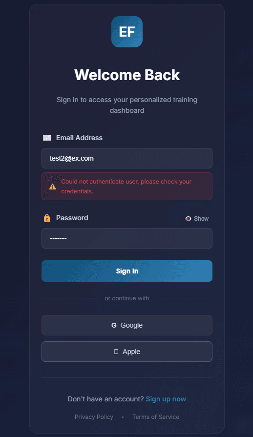 Modern Login Interface